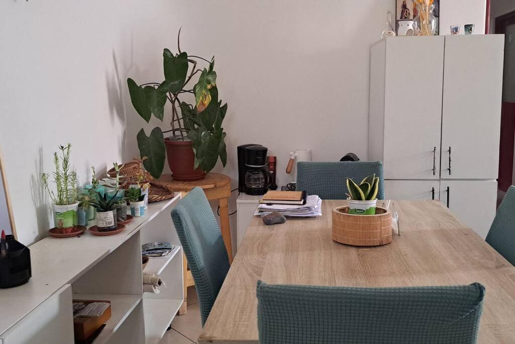 Mendes Family Homestay - B&B In The Heart Of 普拉亚 外观 照片