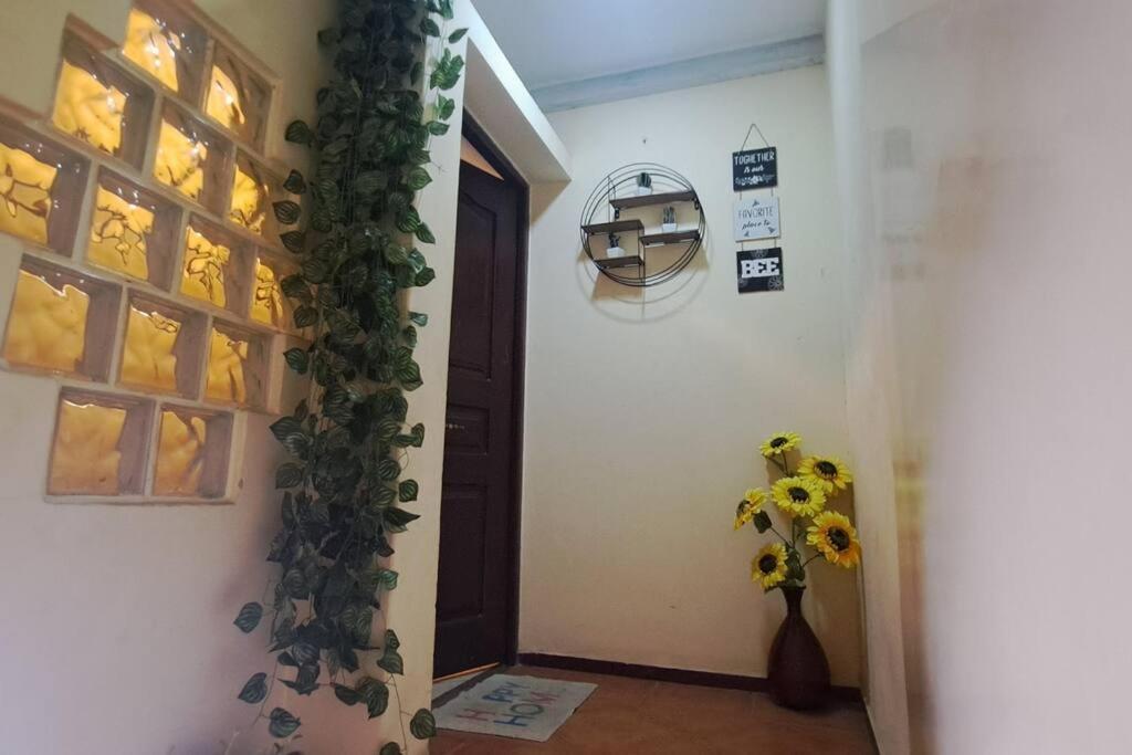 Mendes Family Homestay - B&B In The Heart Of 普拉亚 外观 照片
