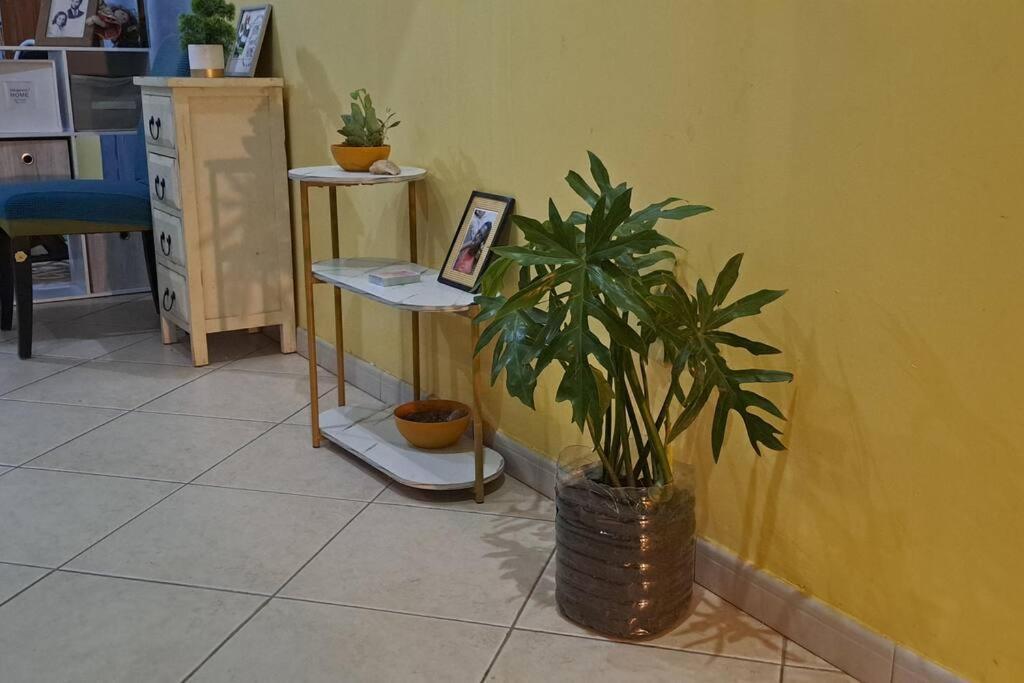 Mendes Family Homestay - B&B In The Heart Of 普拉亚 外观 照片