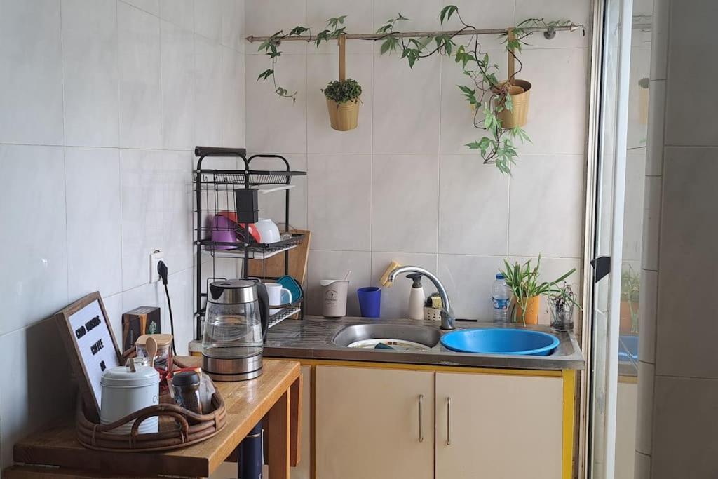 Mendes Family Homestay - B&B In The Heart Of 普拉亚 外观 照片